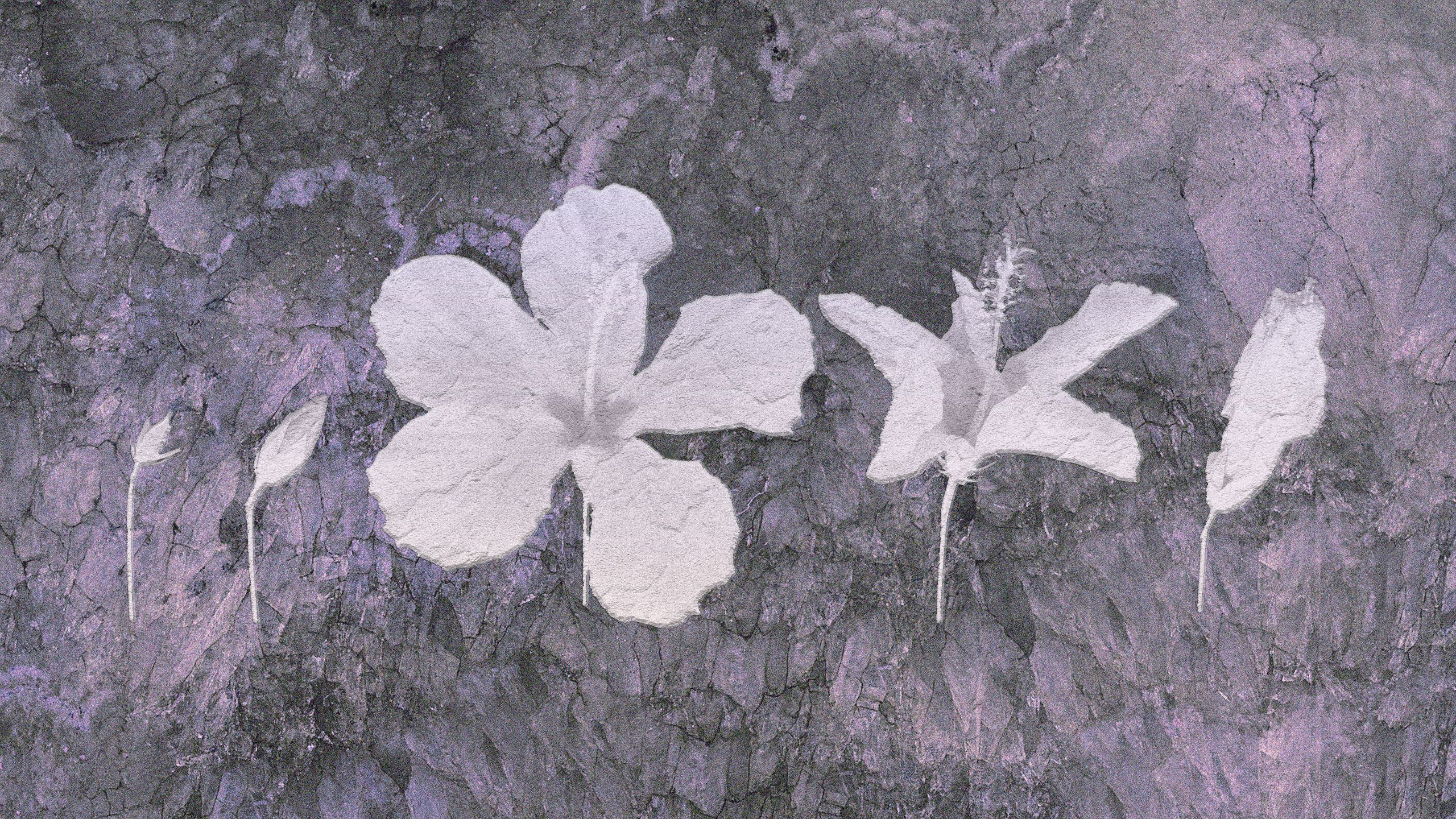 I don’t know how to age as a trans person  cover image