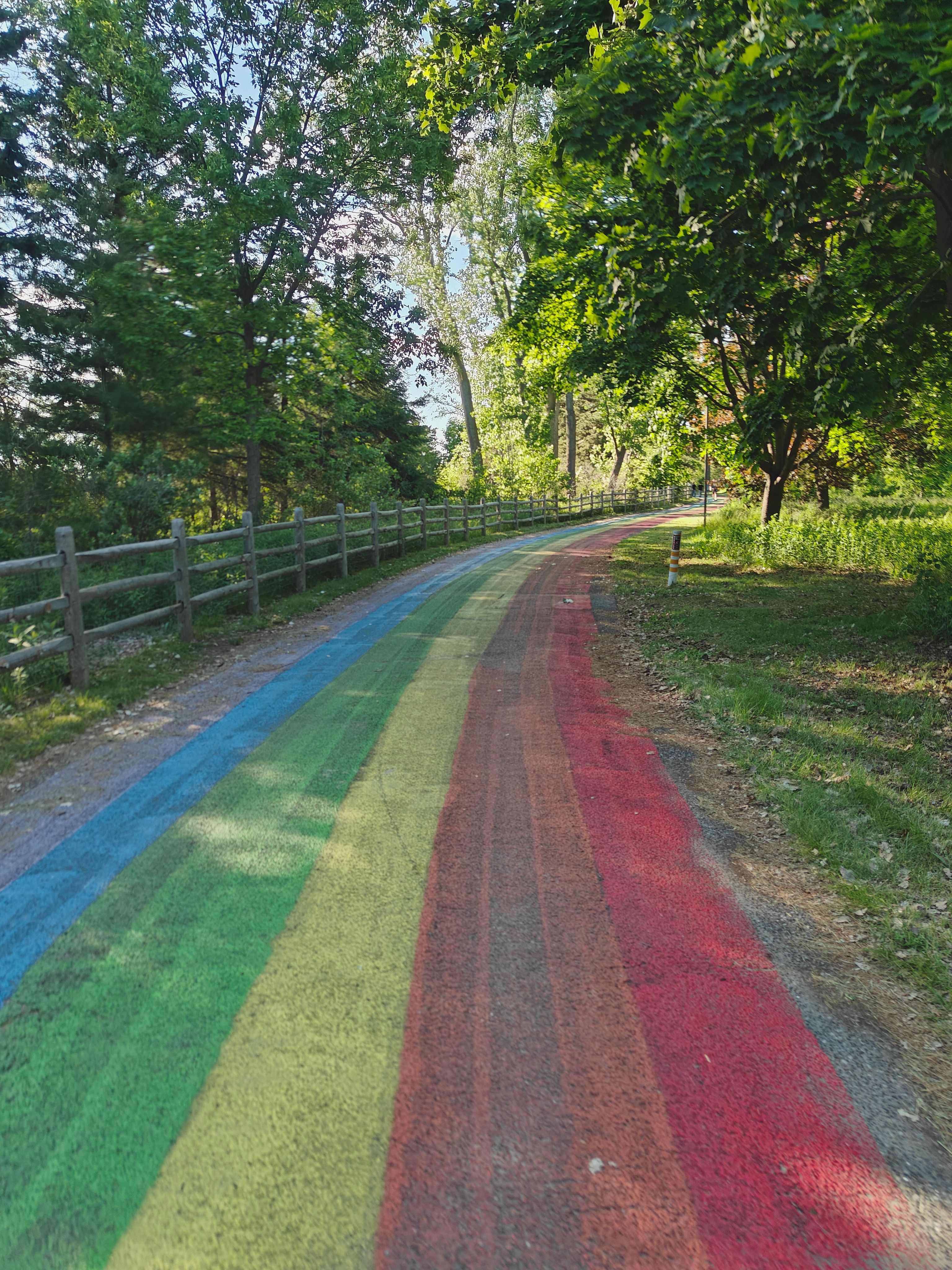 A vibrant rainbow-painted path winds through lush green trees on a sunny day.