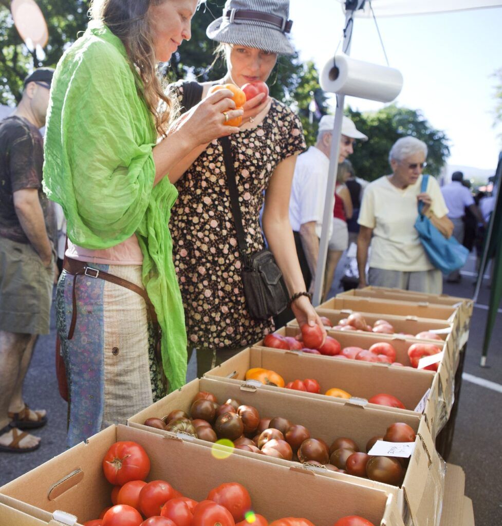 Melissa-Barnes.Farmers-Market-18-977x1024.jpg