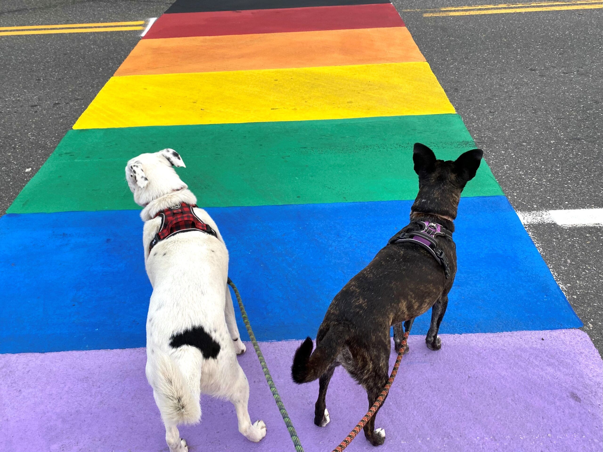 Eight surprisingly LGBTQ2S+-friendly small towns across the U.S.